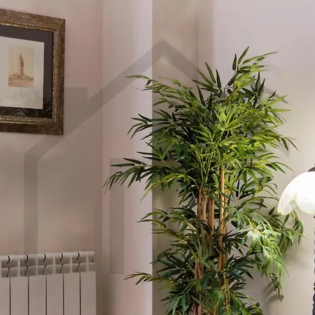 El Pixin - De Gran Categoria En Apartament